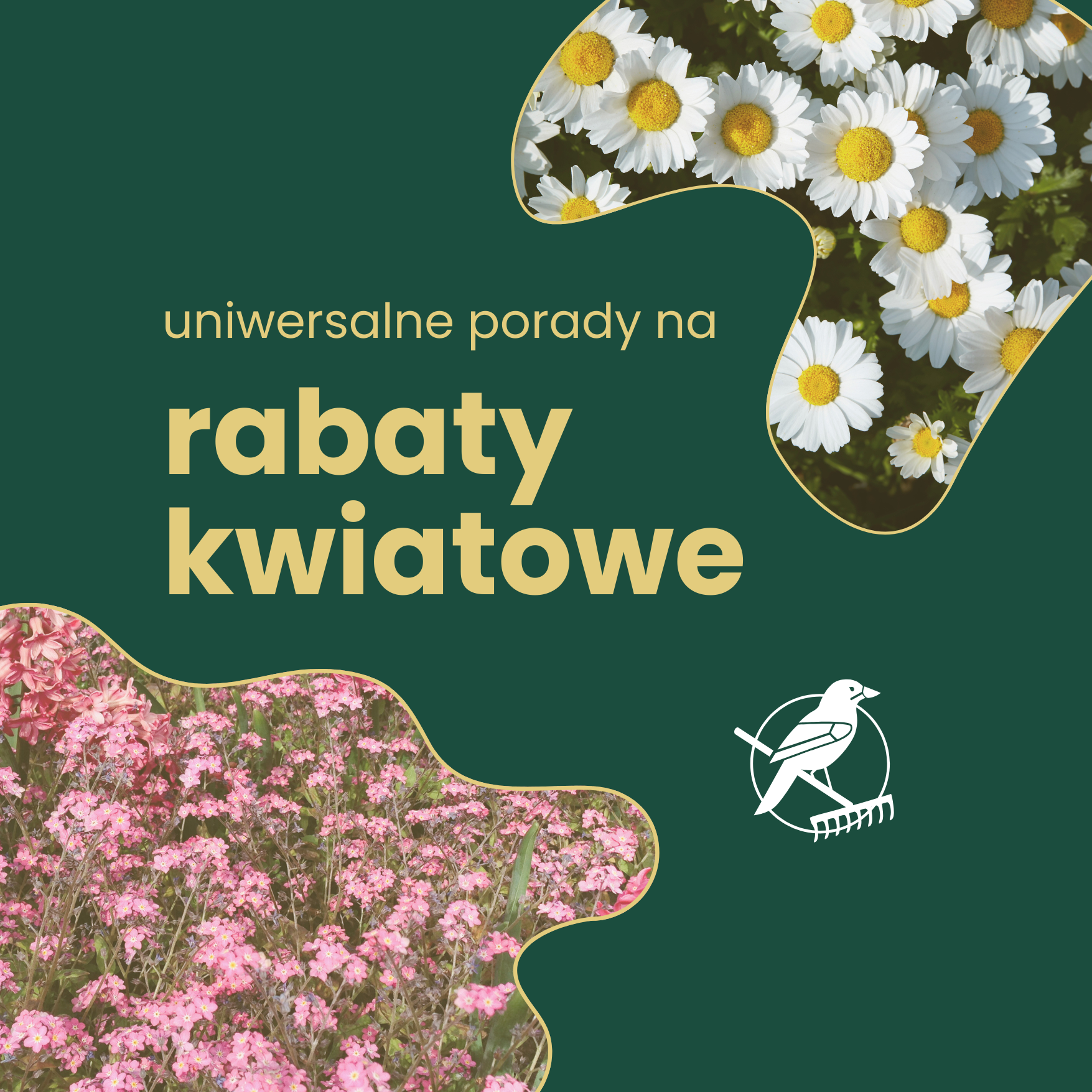 Standardowa ikona zastępcza obrazu. Przedstawia szary, szkicowany kwadrat z zarysem gór i słońca w środku.