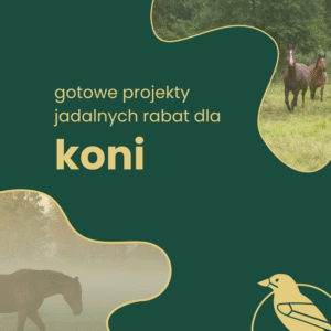 Projekty jadalnych rabat i łąk dla koni