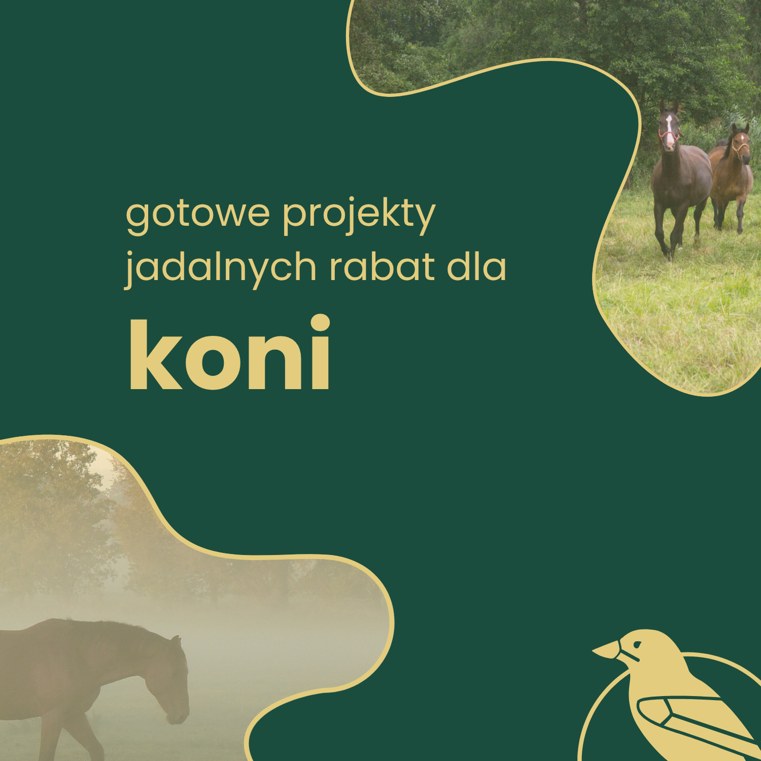 Schematyczny plan ogrodu z góry. Widoczne biały budynek i trawnik w kształcie litery "L". Wokół trawnika i domu liczne kolorowe okręgi, symbolizujące nasadzenia roślinne.